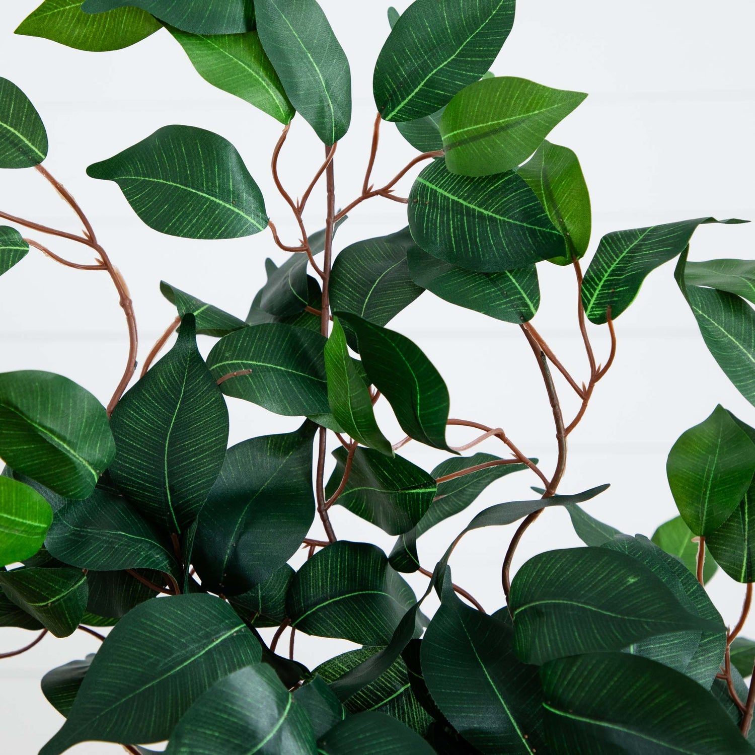 4' Ficus Auriculata Artificial Silk Tree