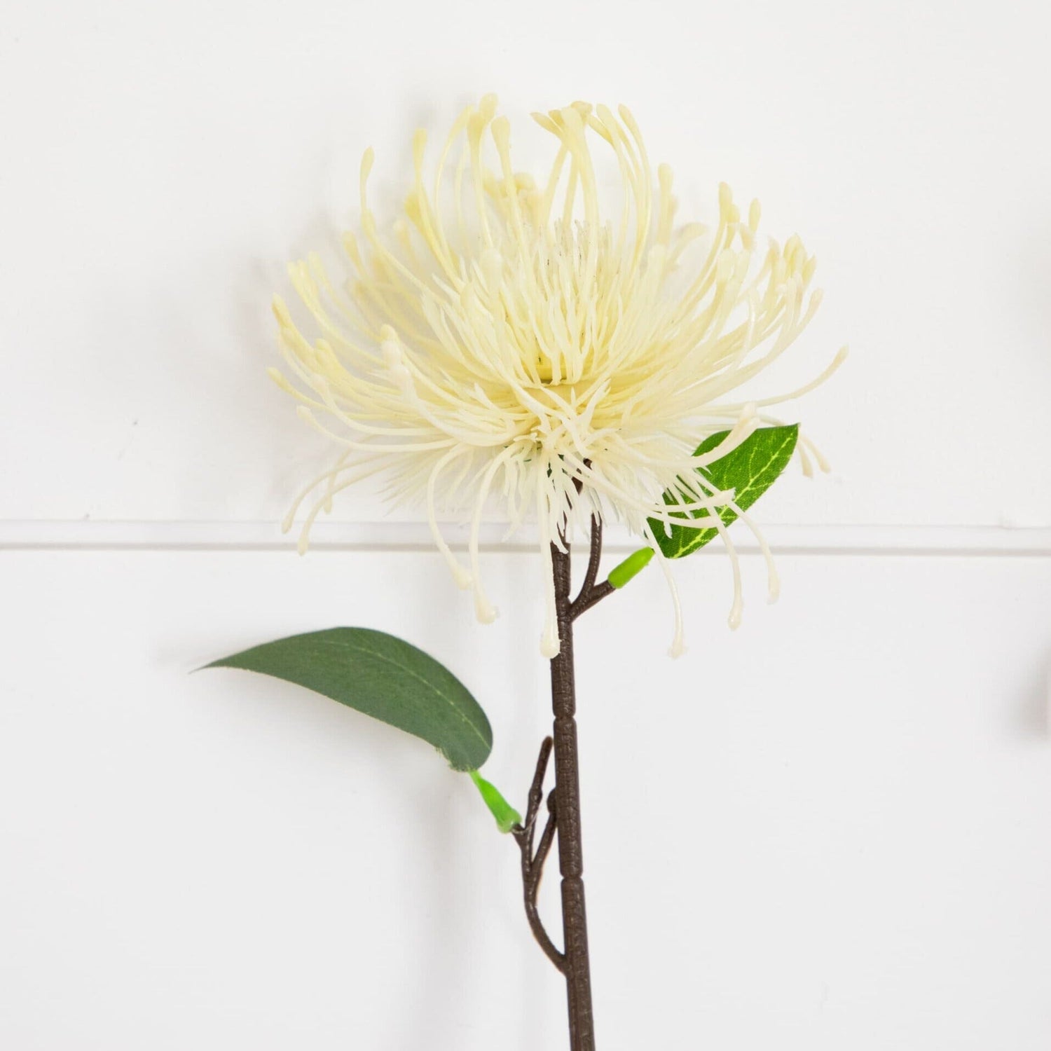 24" Artificial Pincushion Protea Flower Stem - Set of 4