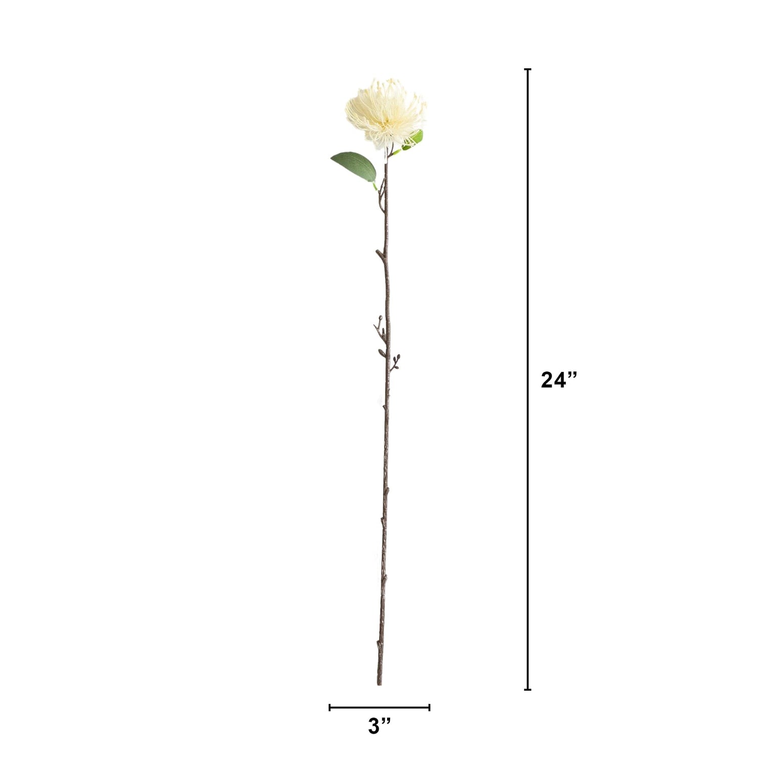 24" Artificial Pincushion Protea Flower Stem - Set of 4
