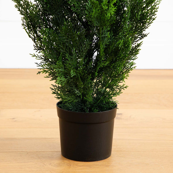 4' Cedar Tree Silk Tree (Indoor/Outdoor)