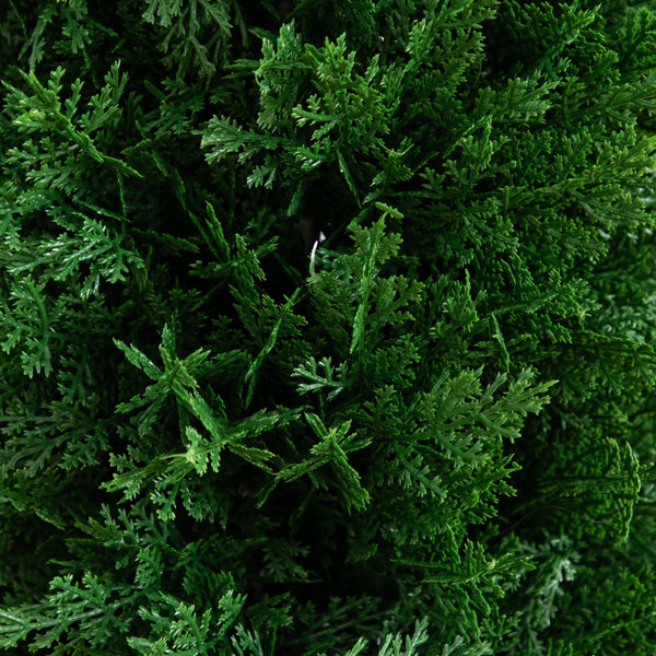 4' UV Resistant Artificial Cedar Plant with Integrated Ground Stake (Indoor/Outdoor) - Set of 2