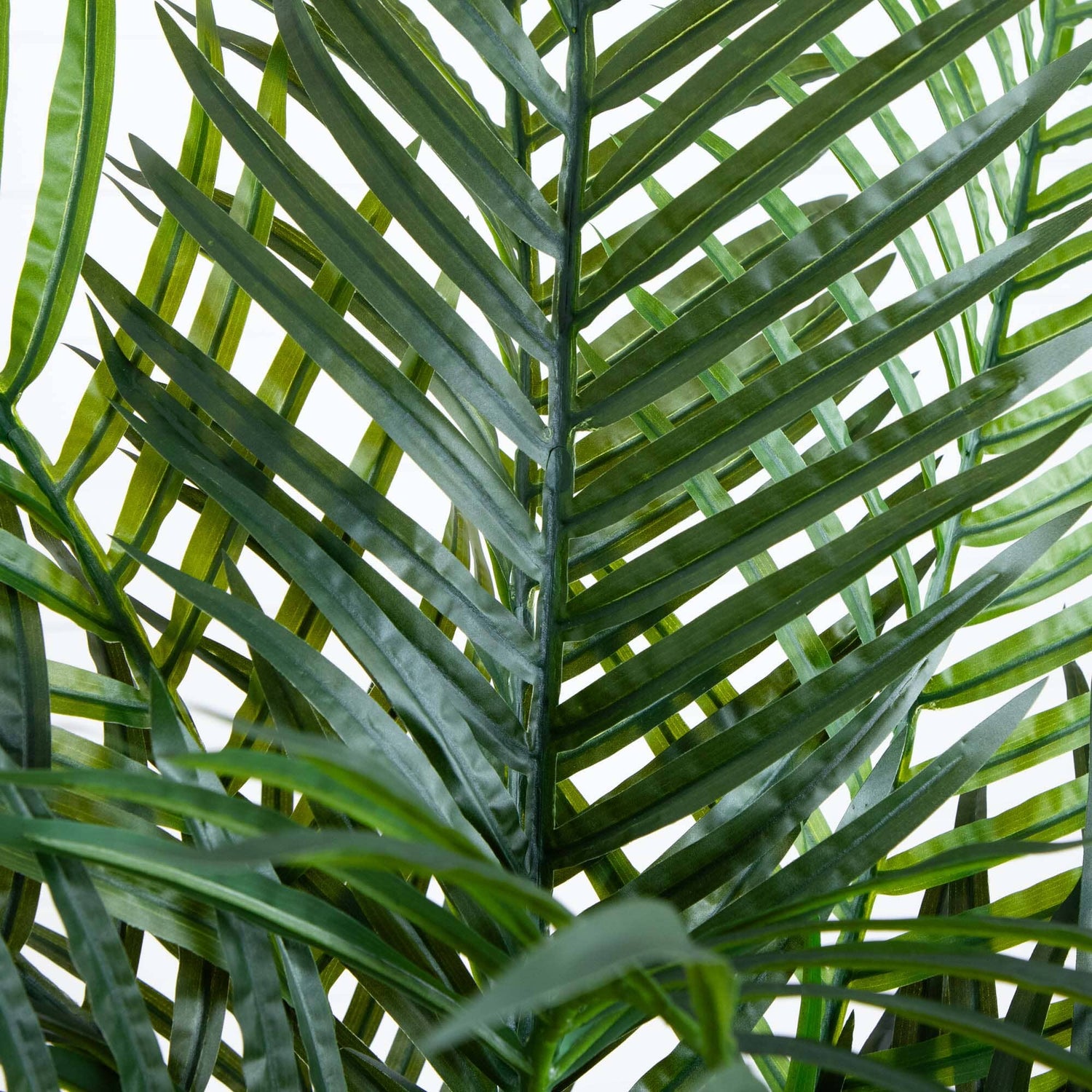 4.5' Areca Palm UV Resistant (Indoor/Outdoor)