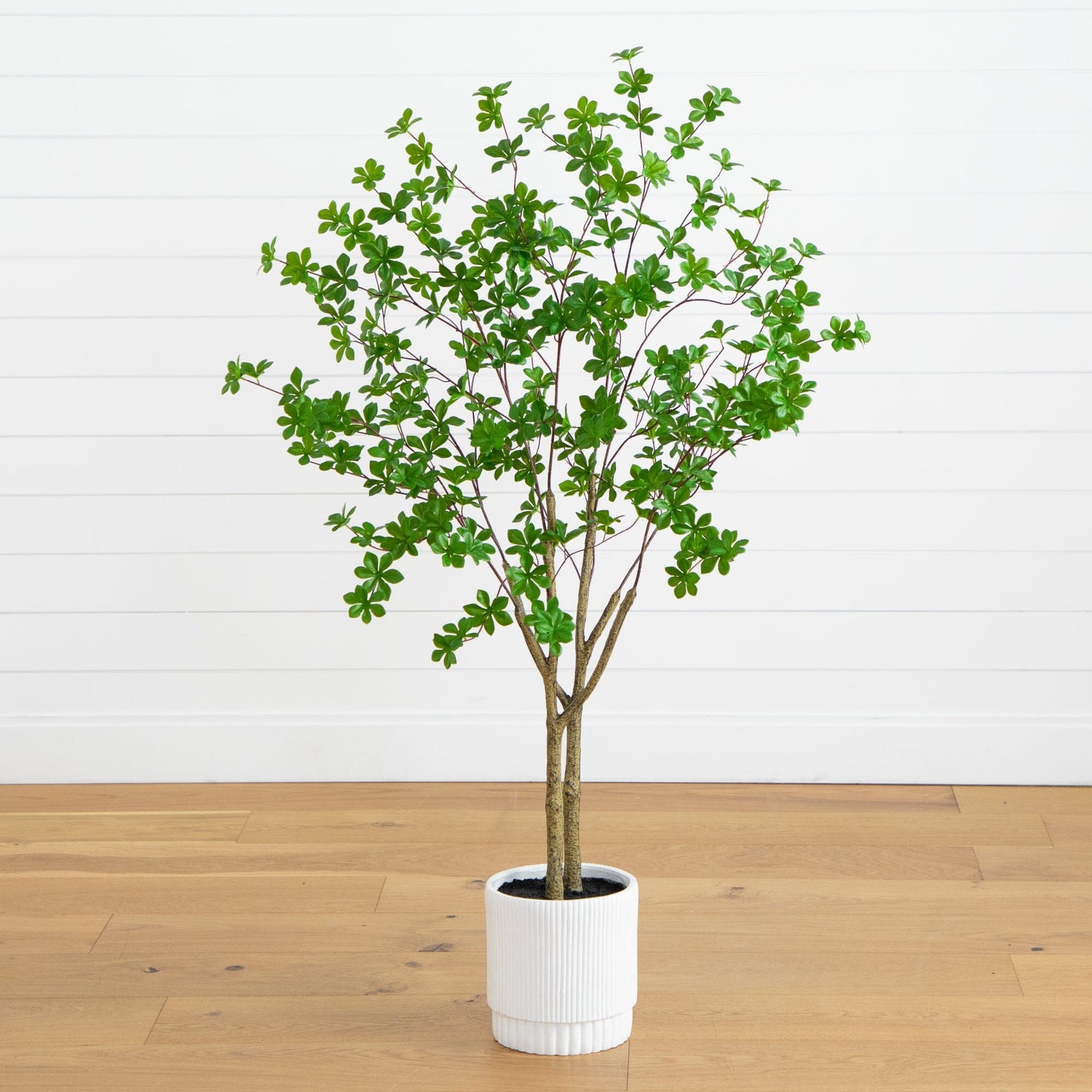 5’ Artificial Enkianthus Tree in White Decorative Planter
