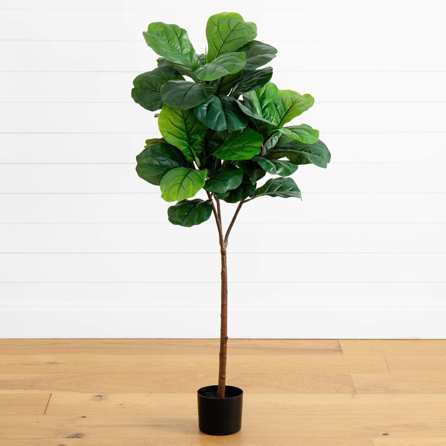 54” Fiddle Leaf Artificial Tree (Real Touch)