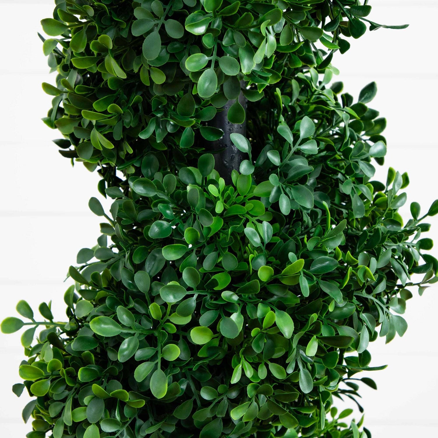 Boxwood Spiral Topiary with Planter (Indoor/Outdoor)