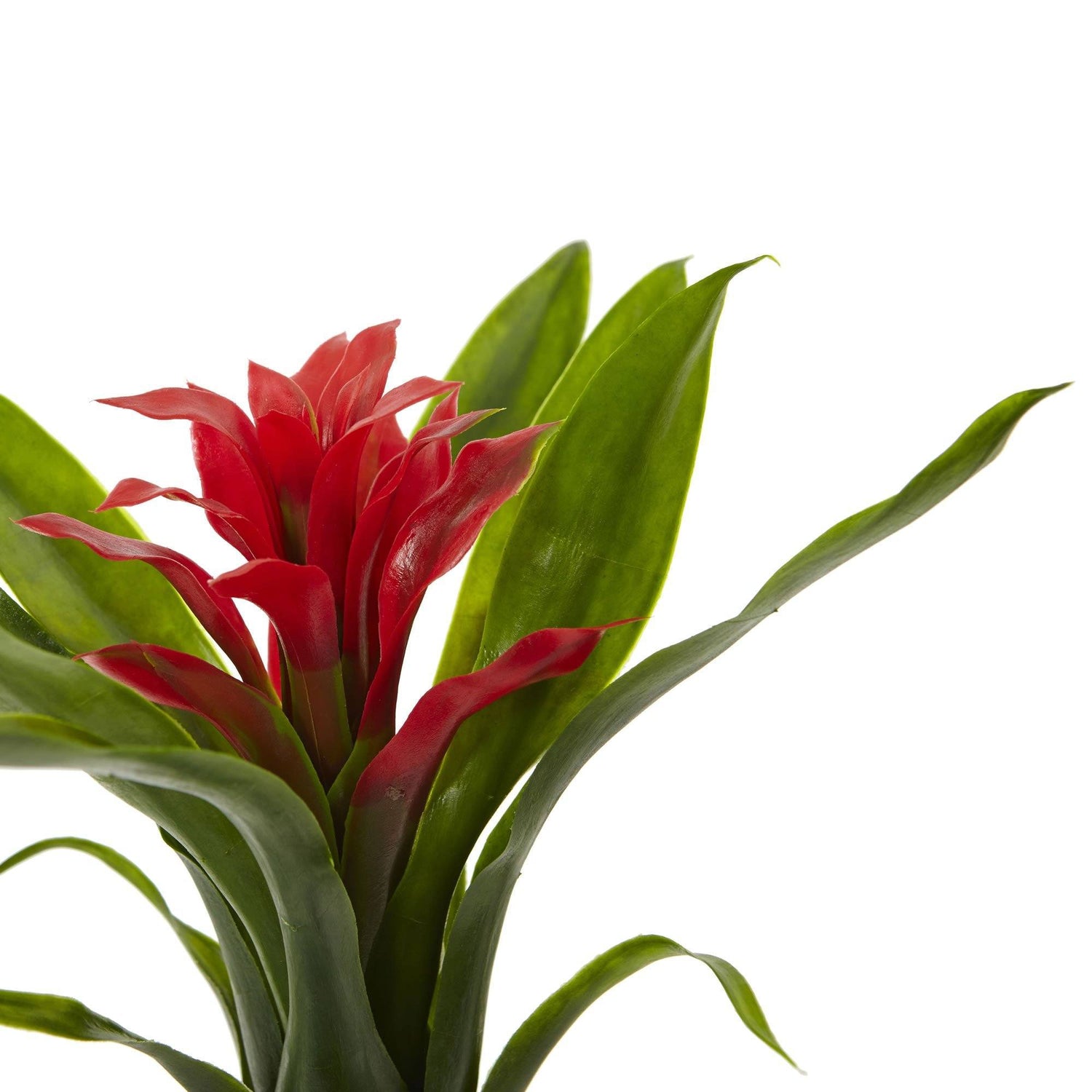 10” Bromeliad Artificial Flower (Set of 6)