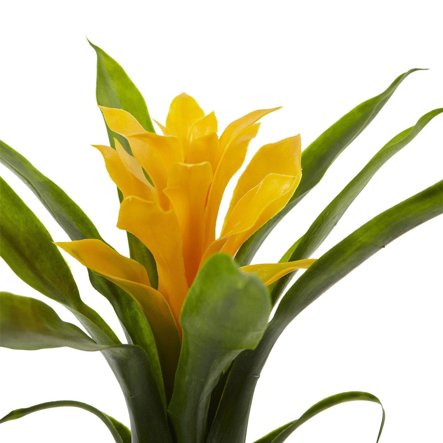 10” Bromeliad Artificial Flower (Set of 6)