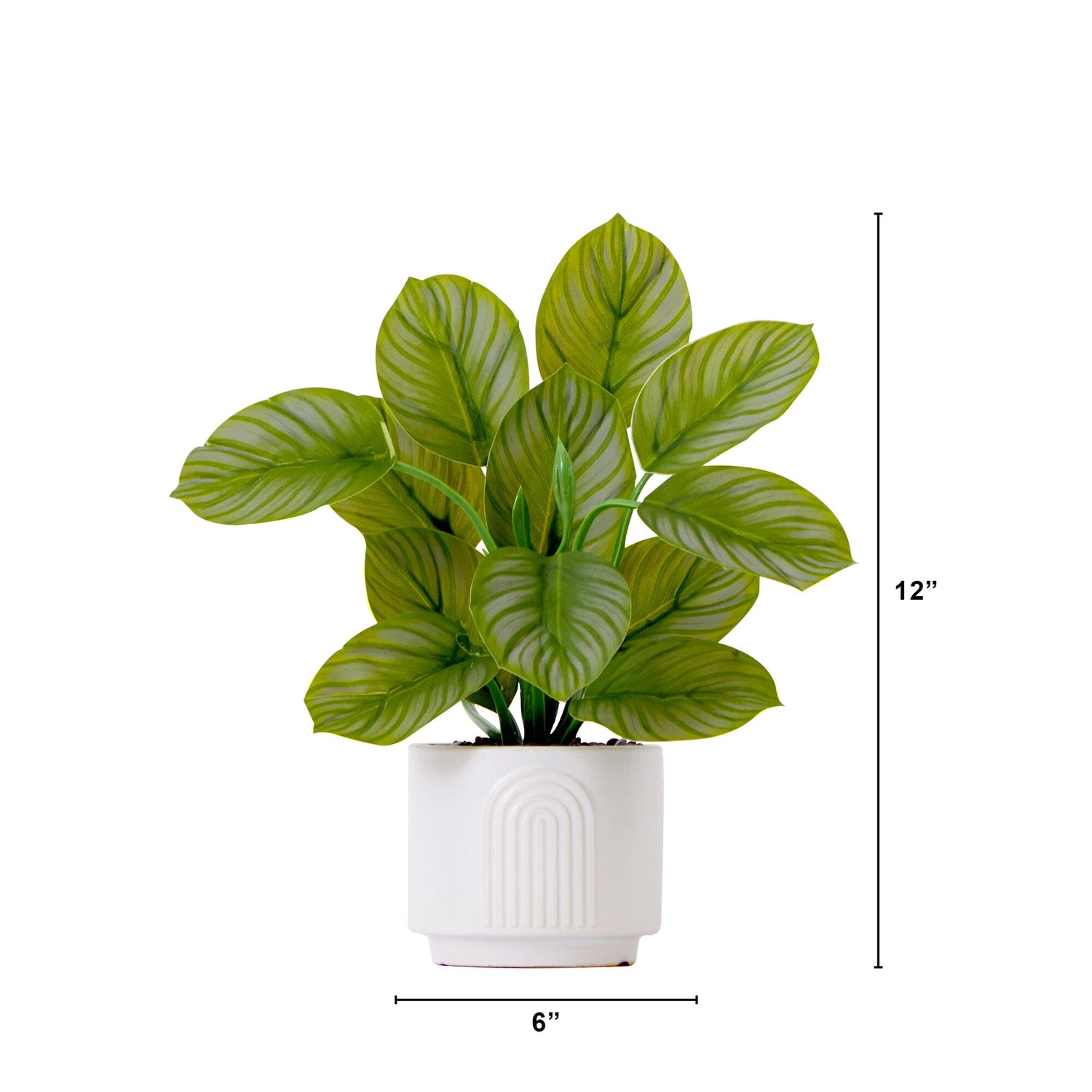 12" Artificial Calathea Plant with Decorative Planter