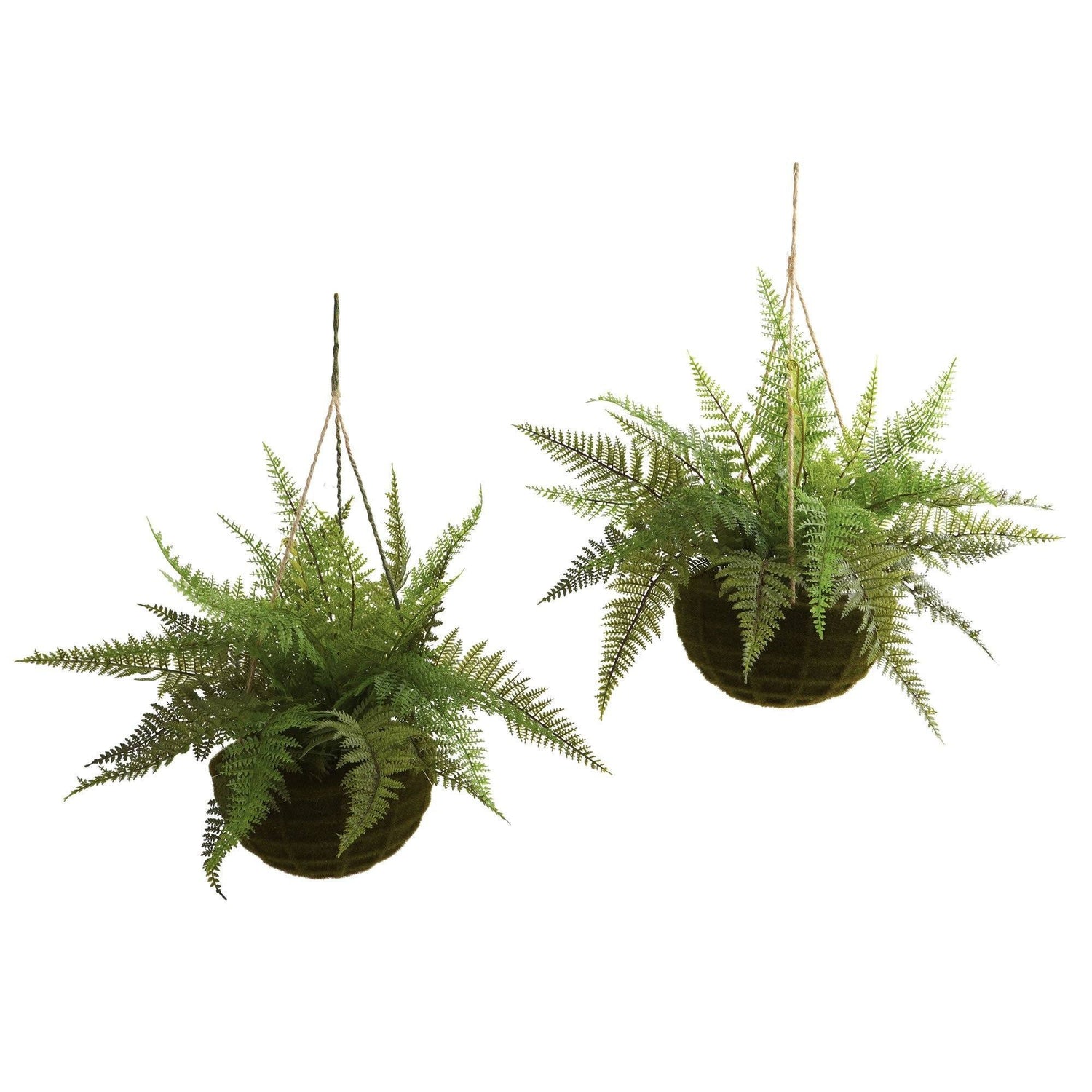 13" Leather Fern Hanging Basket w/ Moss - Set of 2 + (Indoor/Outdoor)