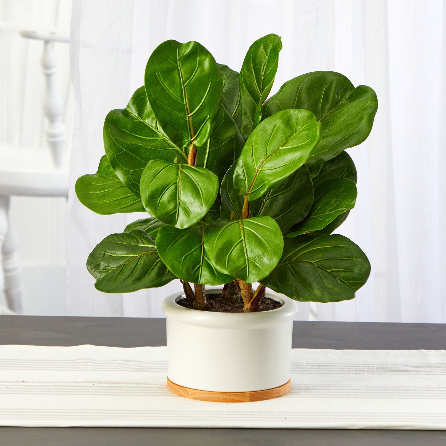 15” Fiddle Leaf Artificial Tree in White Planter