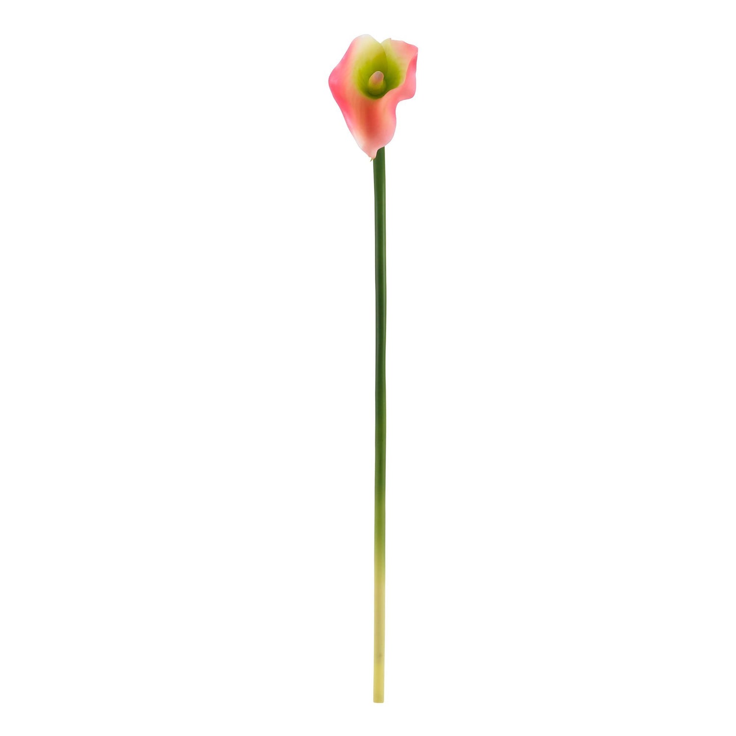 19.5” Calla Lily Artificial Flower (Set of 12)