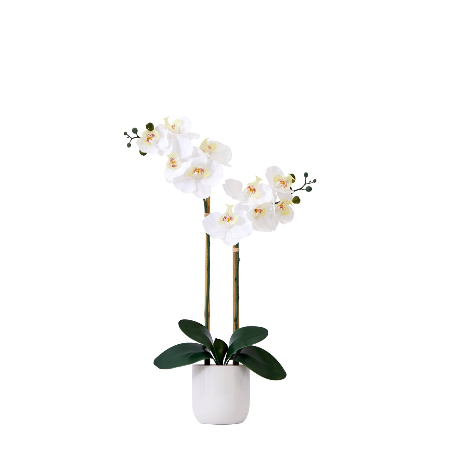 26” Artificial Real to Touch Double Orchid Phalaenopsis with Decorative Vase