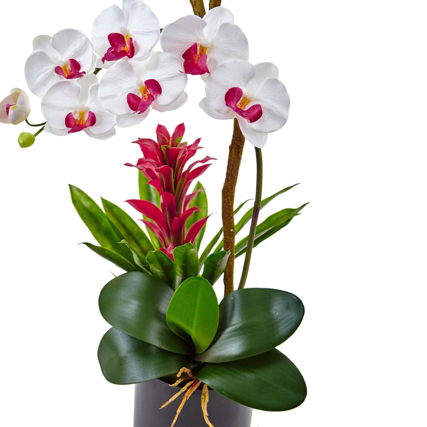 26” Orchid and Bromeliad in Glossy Black Cylinder