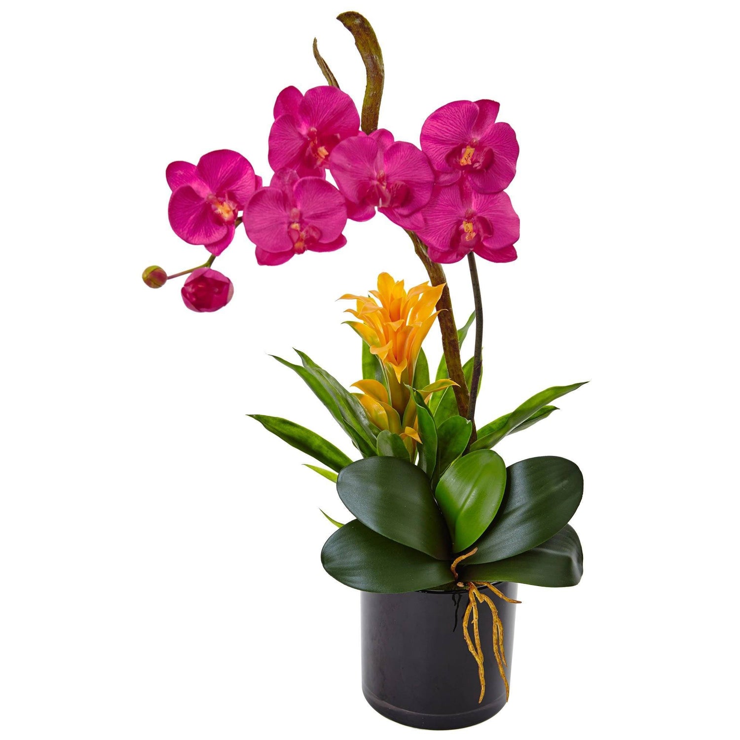 26” Orchid and Bromeliad in Glossy Black Cylinder