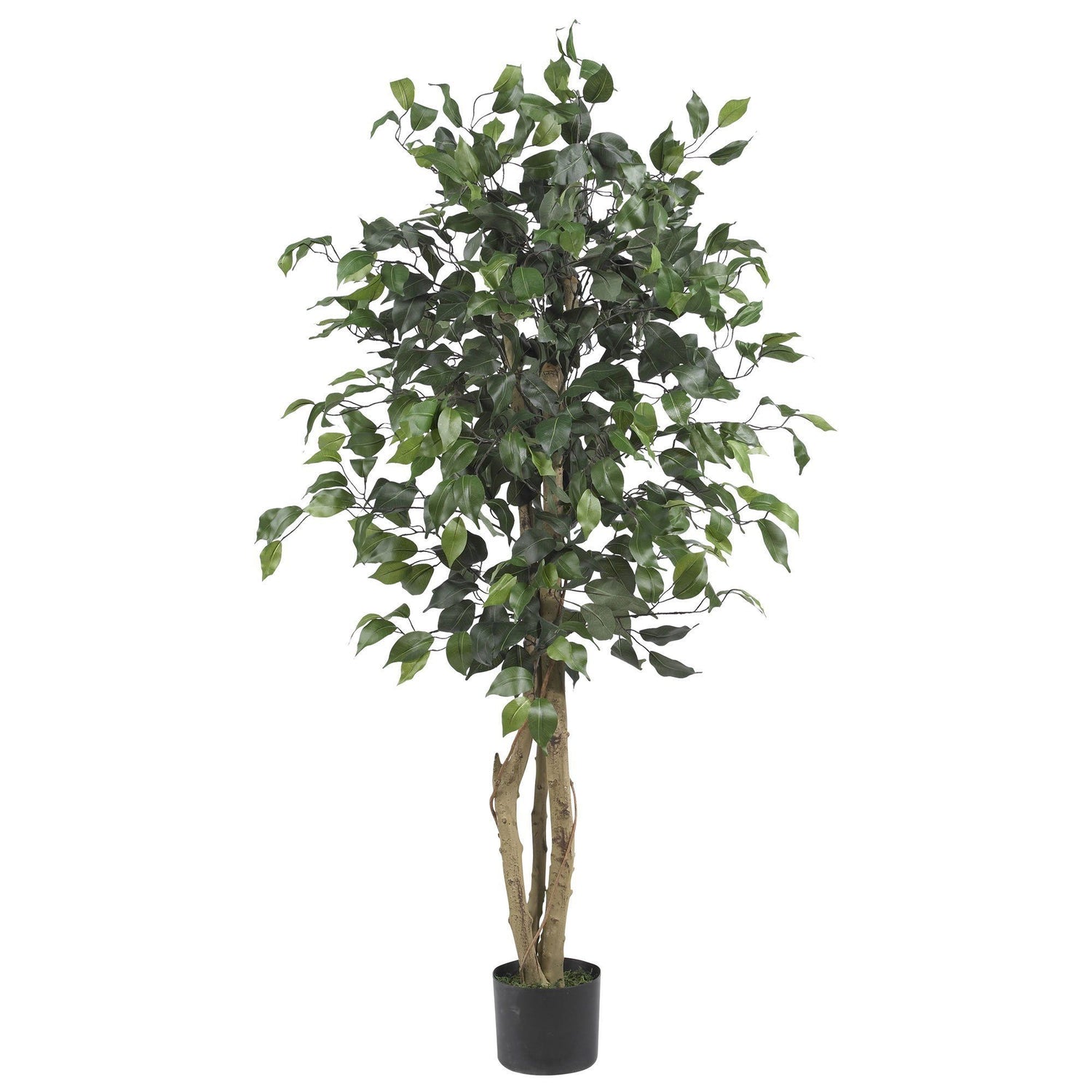 4' Ficus Auriculata Artificial Silk Tree