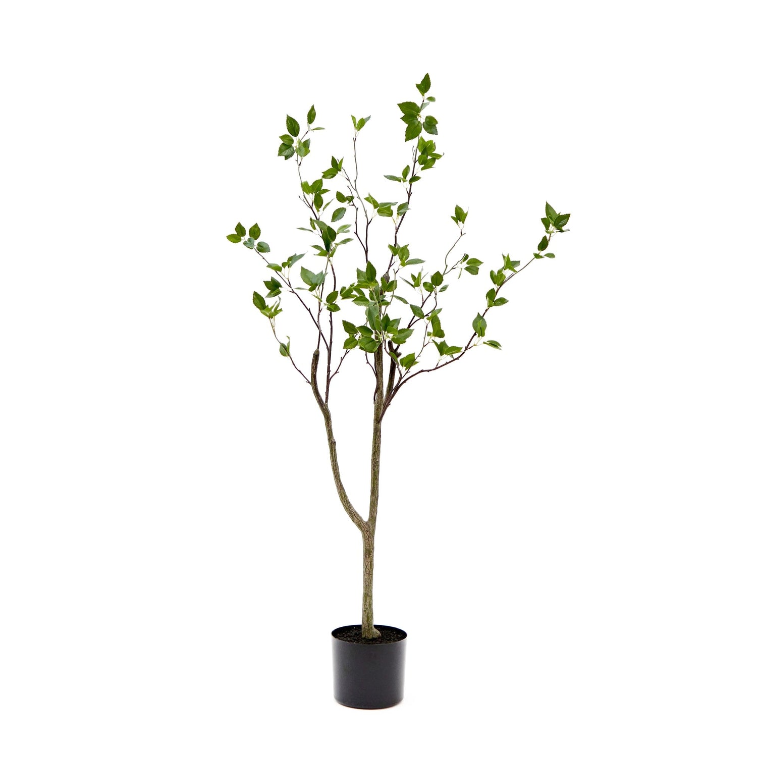 4' Minimalist Citrus Artificial Tree