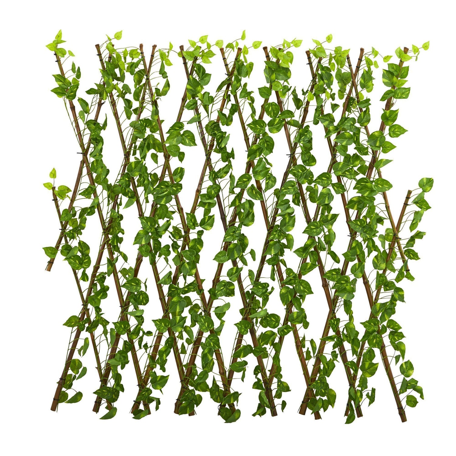 47” Pothos Expandable Fence UV Resistant & Waterproof Trellis