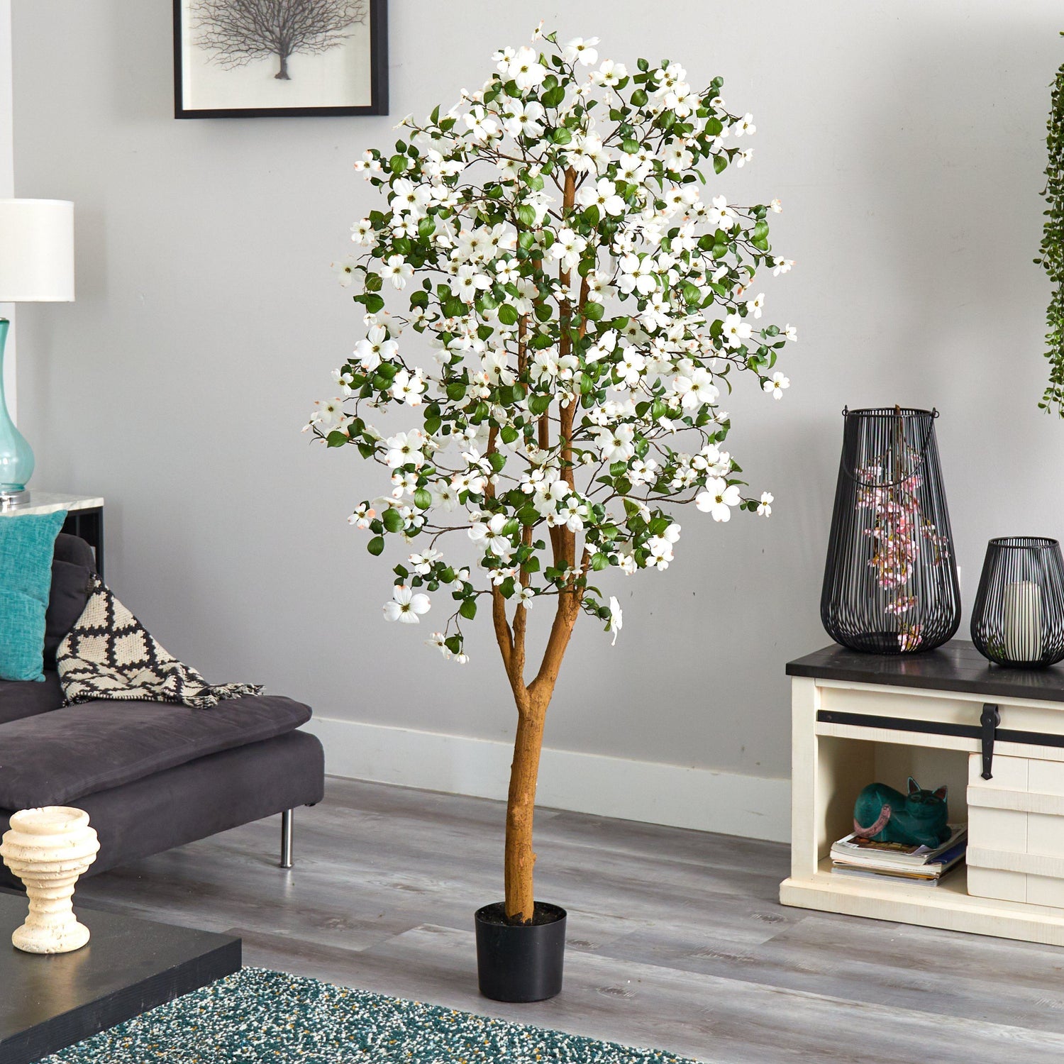 5' Dogwood Silk Tree