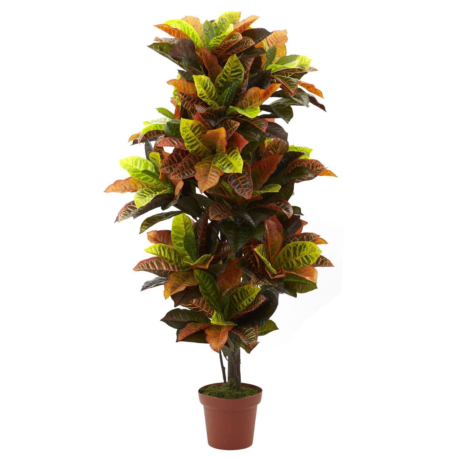 56” Croton Plant (Real Touch)