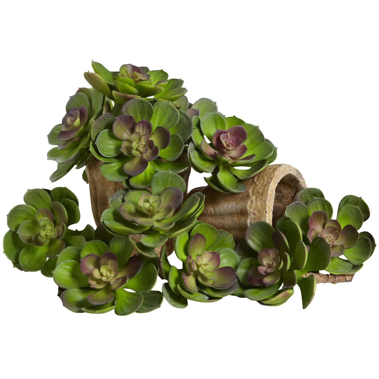 6” Artificial Echeveria Succulent (Set of 12)