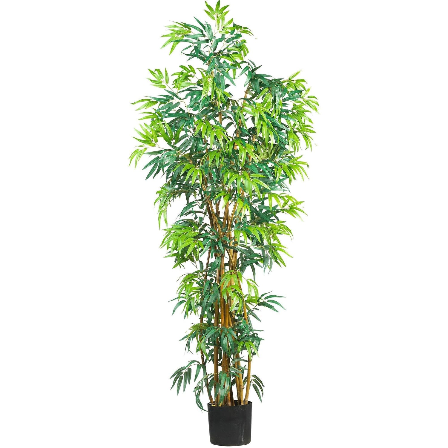 6'  Fancy Style Bamboo Silk Tree