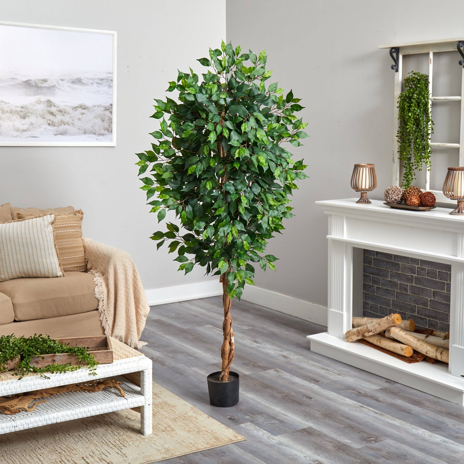 6’ Ficus Artificial Tree in Nursery Planter