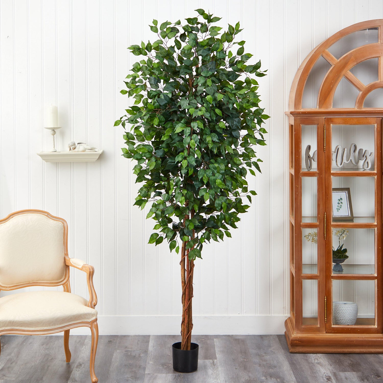 7' Ficus Silk Tree