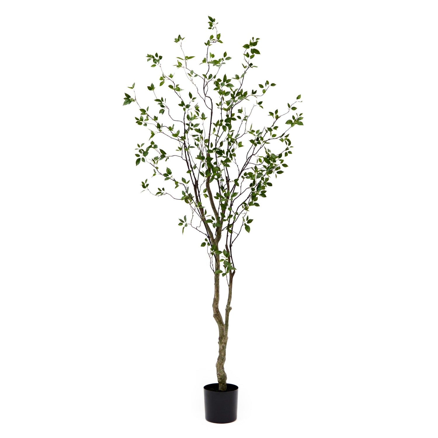 8' Minimalist Citrus Artificial Tree