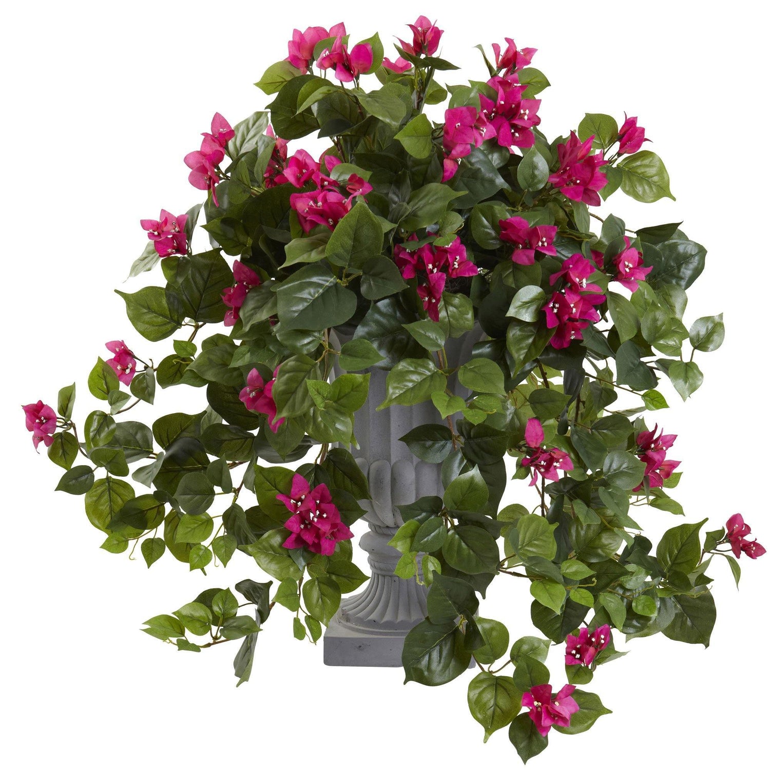 Bougainvillea with Decorative Urn