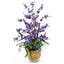 Dancing Lady Silk Orchid Arrangement