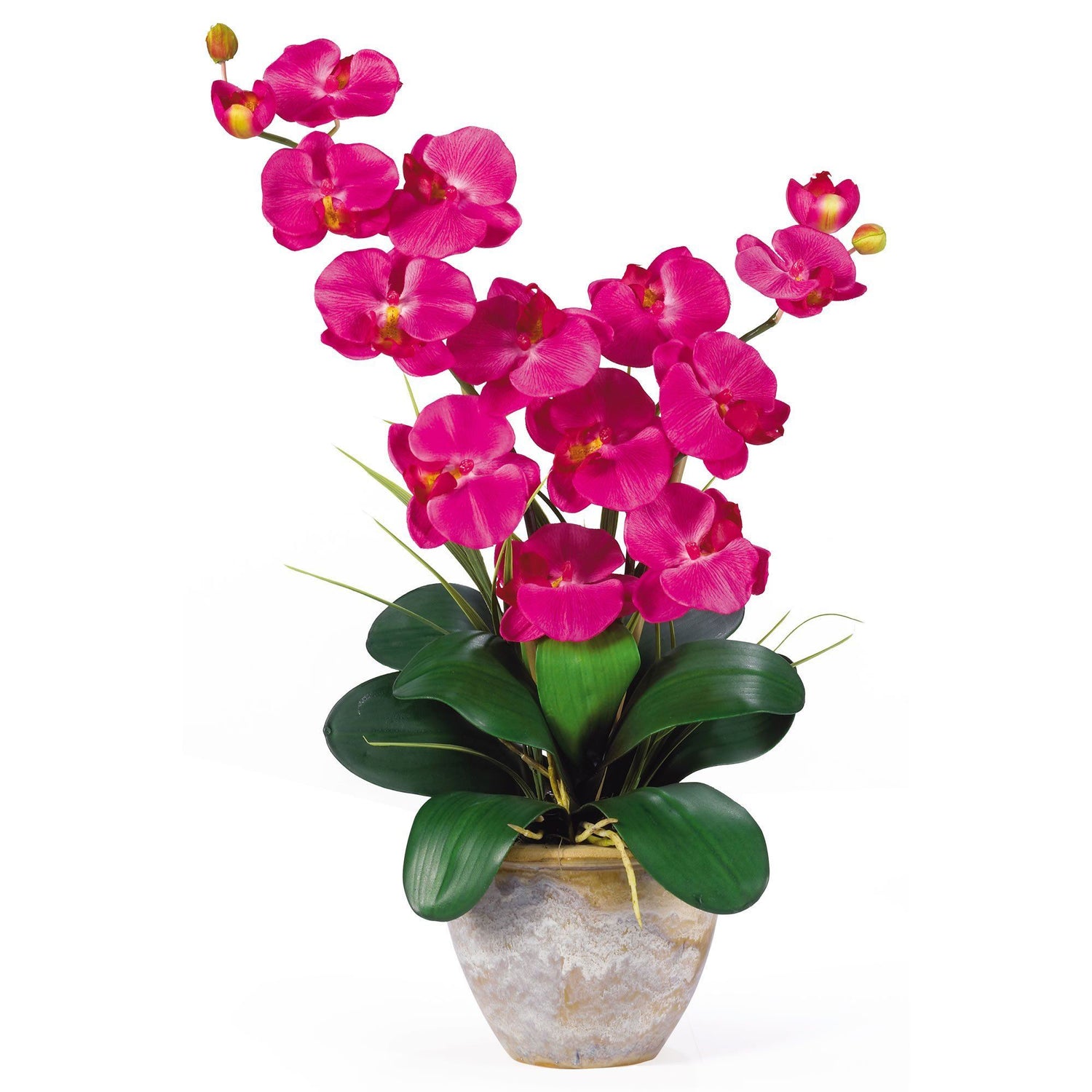 Double Stem Phalaenopsis Silk Orchid Arrangement