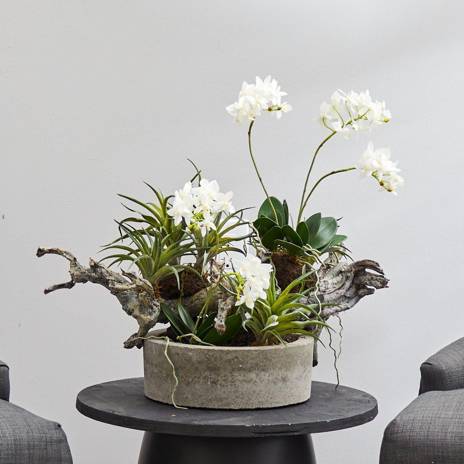 Orchid & Succulent Garden w/Driftwood & Decorative Vase