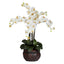 Phalaenopsis w/Decorative Vase Silk Flower Arrangement