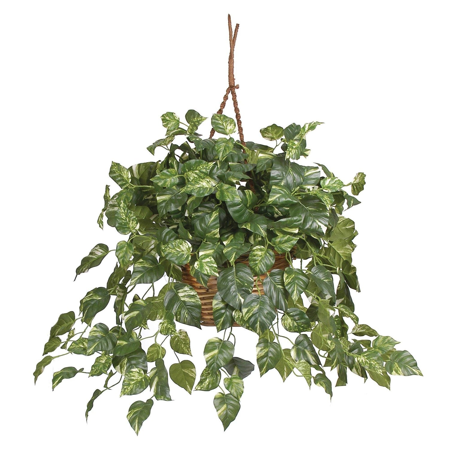 Pothos Hanging Basket Silk Plant