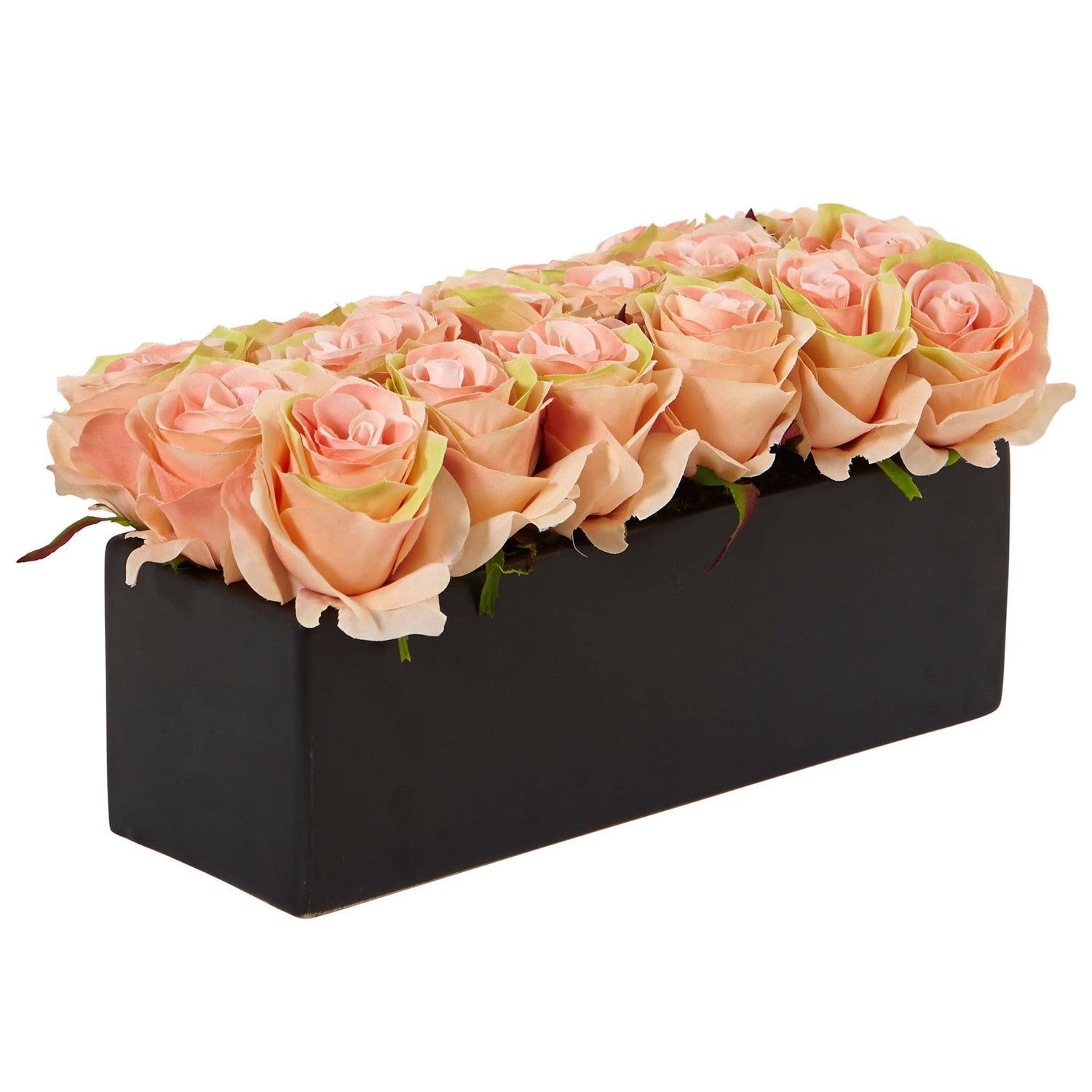 Roses in Rectangular Planter