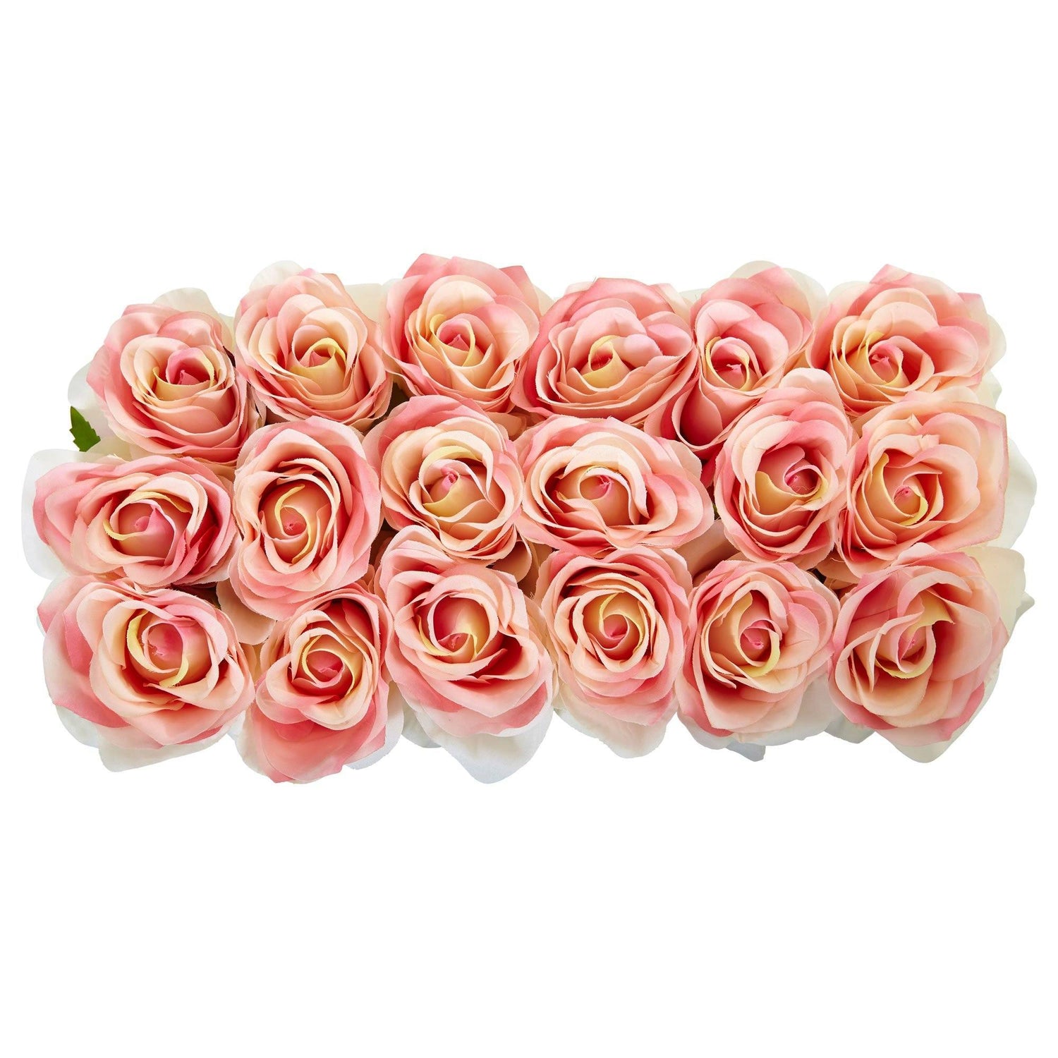 Roses in Rectangular Planter